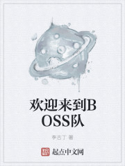 欢迎来到BOSS队